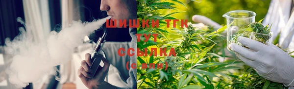 ПСИЛОЦИБИНОВЫЕ ГРИБЫ Аркадак
