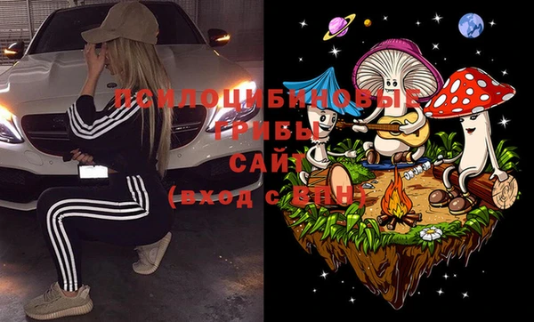 хмурый Армянск
