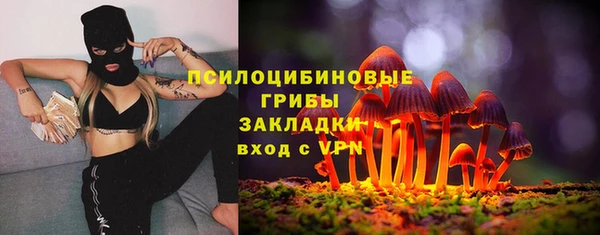 хмурый Армянск